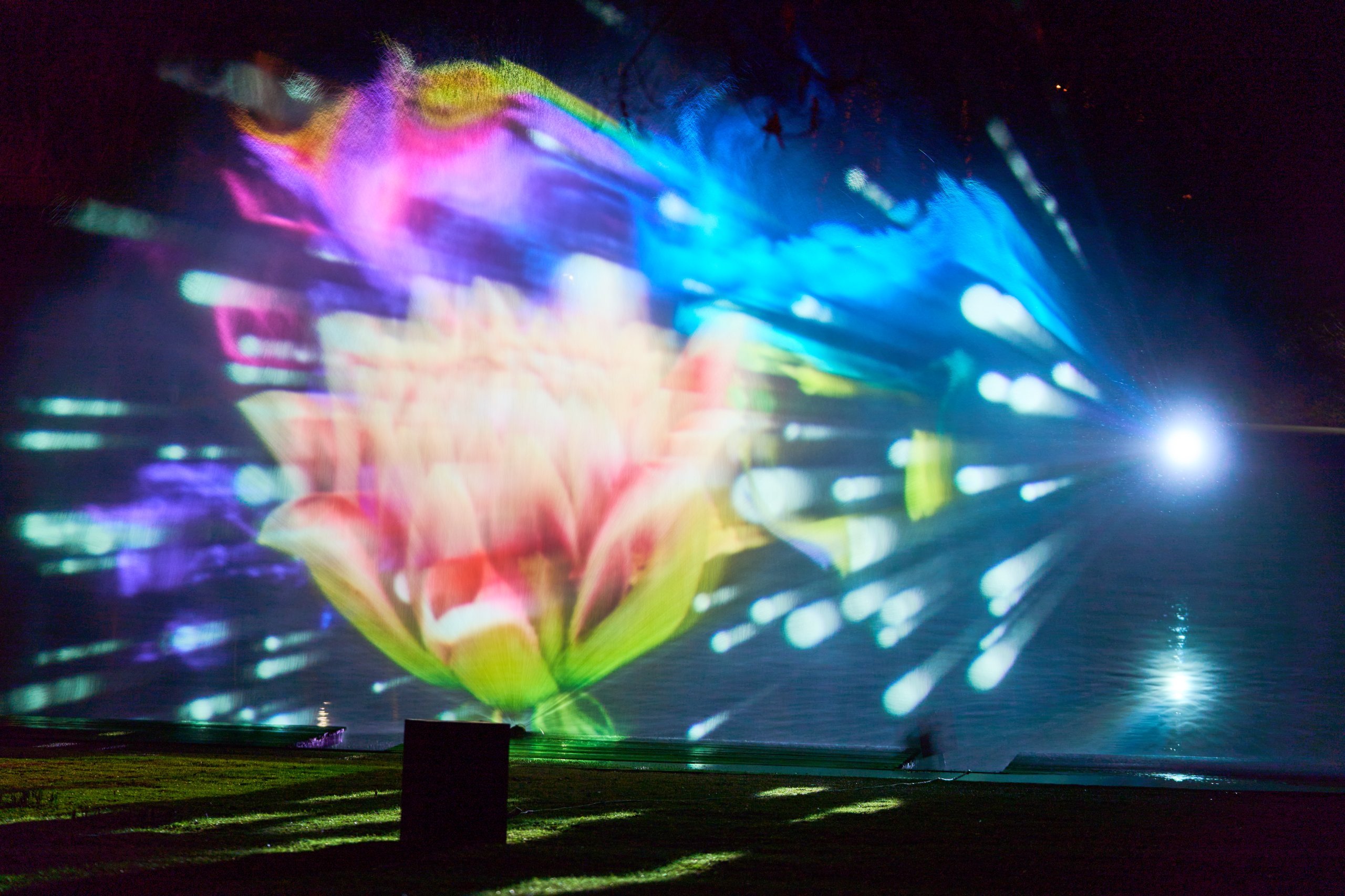 2026 02 05 Parkleuchten 0439